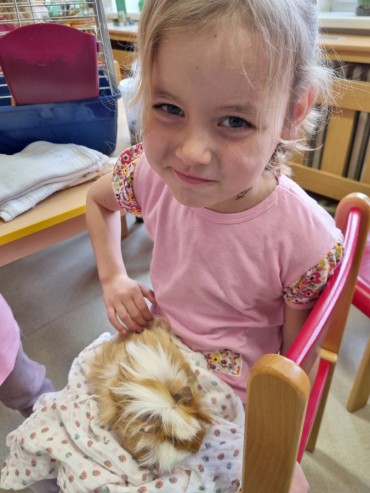 Jak se starat o morčátko