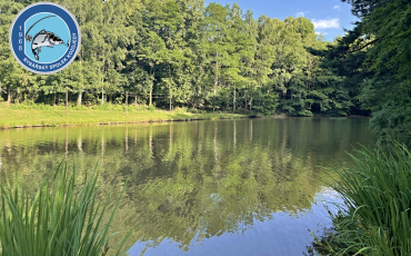 Výlov rybníka Pod Hotelem