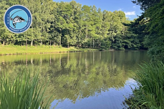 Výlov rybníka Pod Hotelem