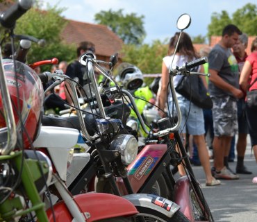 Kozojedský Fichtl 2012