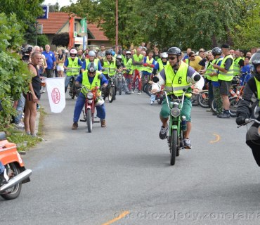 Kozojedský Fichtl 2012