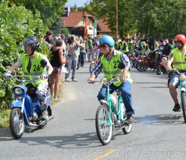 Kozojedský Fichtl 2012