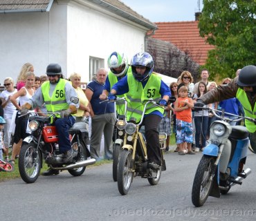Kozojedský Fichtl 2012