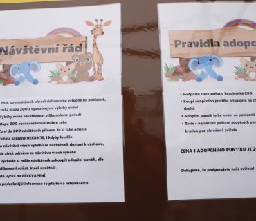 Dětský den 2024 - ZOO
