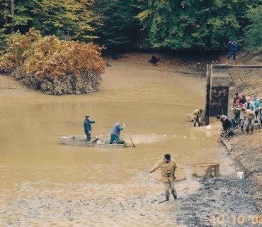 Výlov rybníka Na Pastvinách