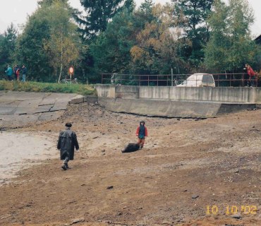 Výlov rybníka Na Pastvinách