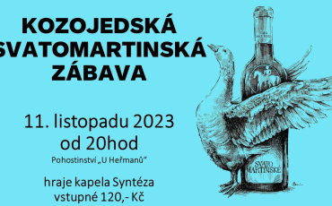 Svatomartinská zábava