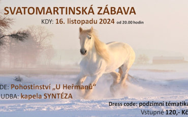 Svatomartinská zábava