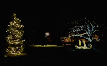 Rozsvícení vánočního stromečku