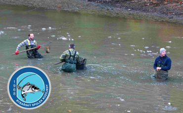 Výlov rybníka Na Pastvinách