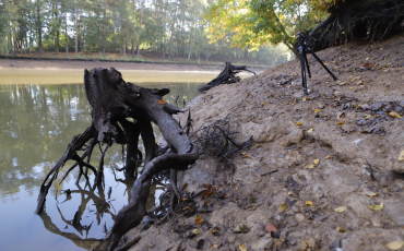 Výlov rybníka Na Pastvinách