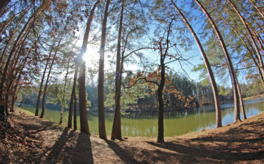 Kozojedský rybářský spolek
